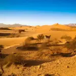 Siwa Oasis Safari Adventure (4 Days/3 Nights)