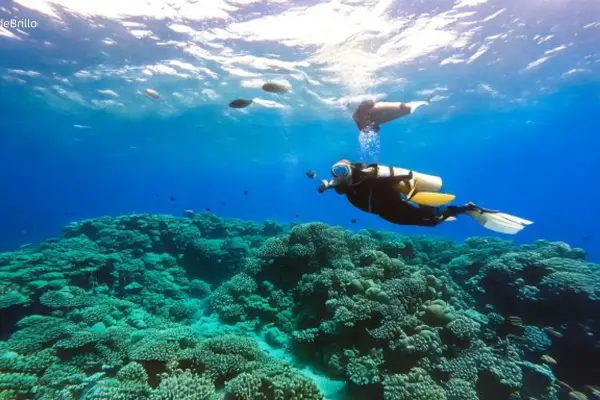 Snorkeling at Blue Hole in Dahab